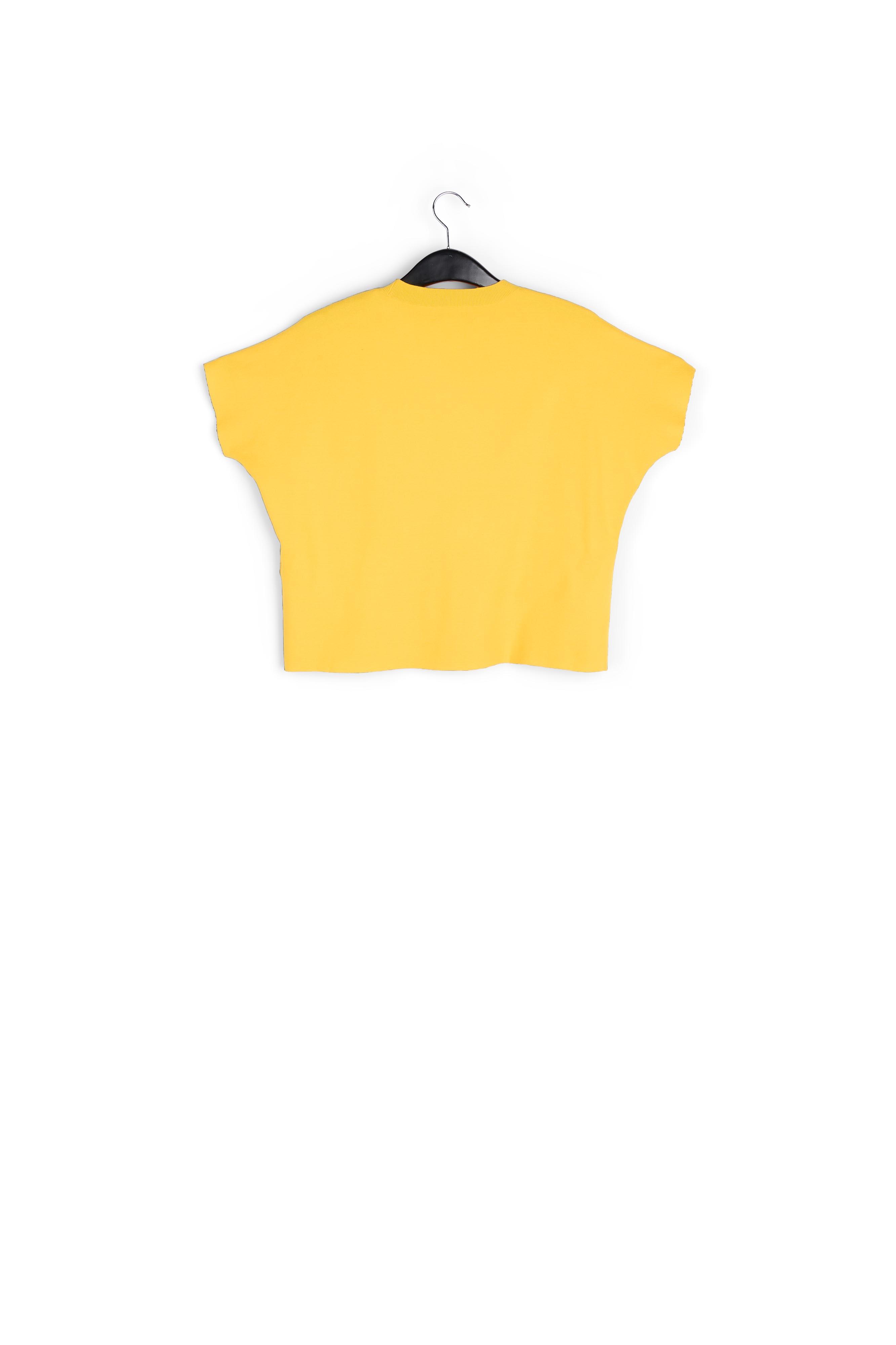Top en tricot jaune RE—SSENTIEL seconde main photo 2